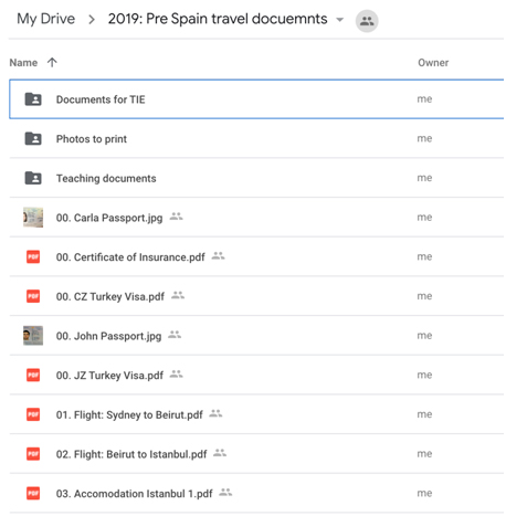 pre travel documents
